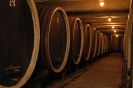 Oplenacki put vina