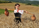Opština Topola_8